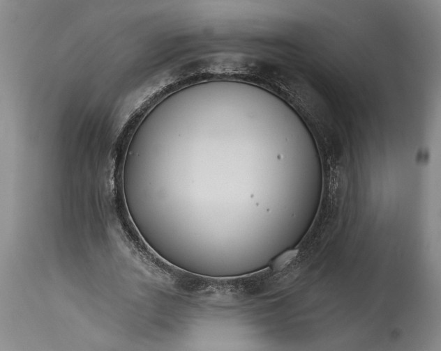 X0000114400727200911061537