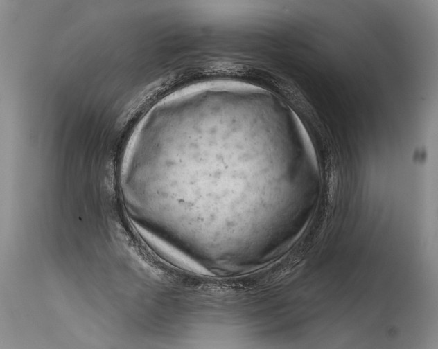 X0000114400729200911061537