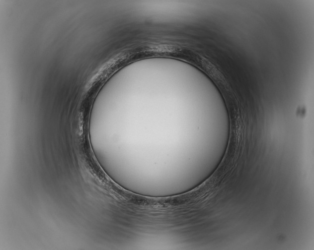 X0000114400731200911061537