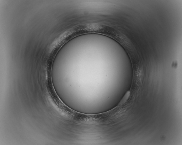 X0000114400734200911061537