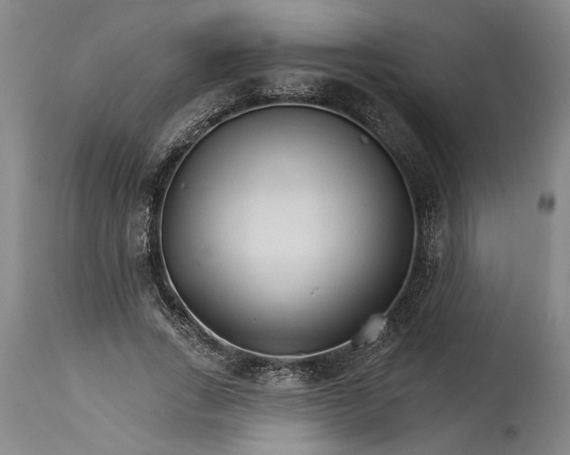 X0000114400735200911061537