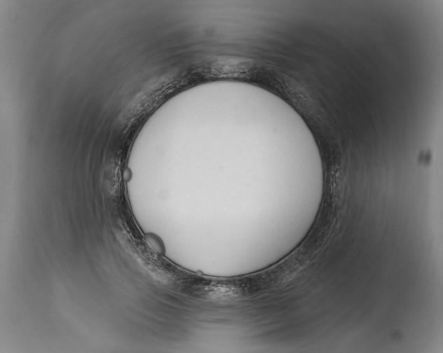 X0000114400741200911061537