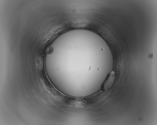 X0000114400743200911061537