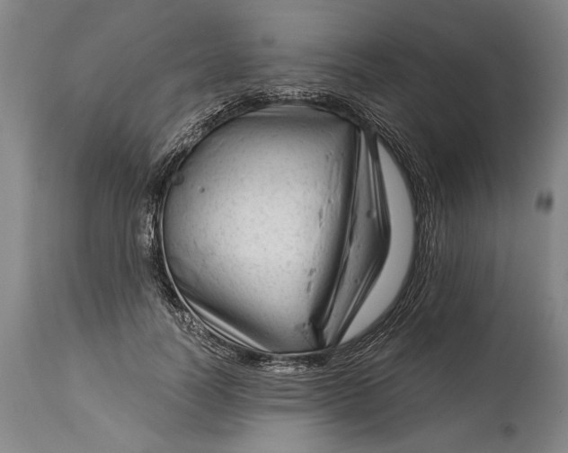 X0000114400746200911061537