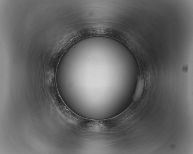 X0000114400747200911061537