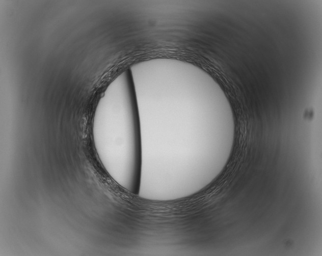 X0000114400750200911061537