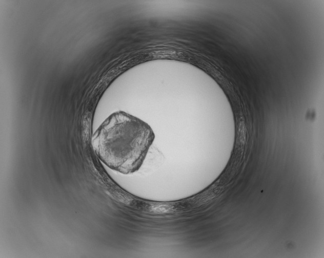 X0000114400753200911061537