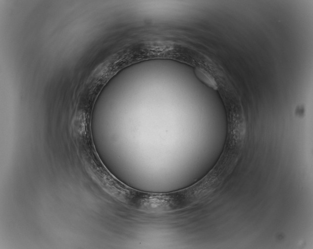 X0000114400758200911061537