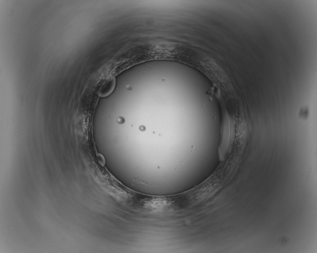 X0000114400759200911061537