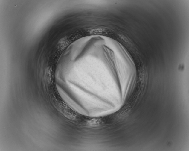 X0000114400761200911061537