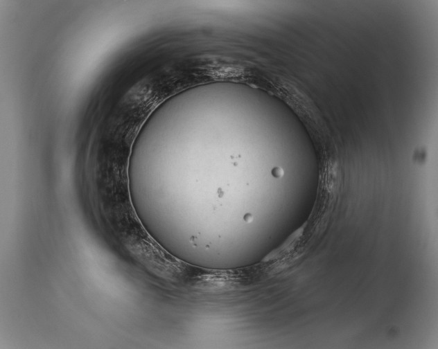 X0000114400763200911061537