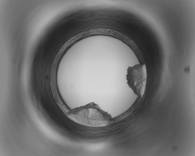 X0000114400765200911061537