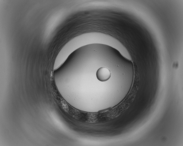 X0000114400766200911061537