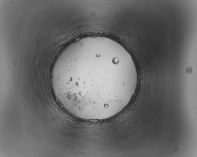 X0000114400769200911061537