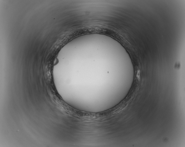 X0000114400771200911061537