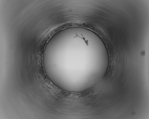 X0000114400773200911061537