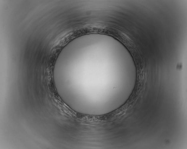 X0000114400774200911061537