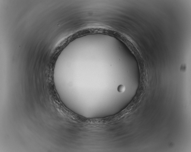 X0000114400775200911061537