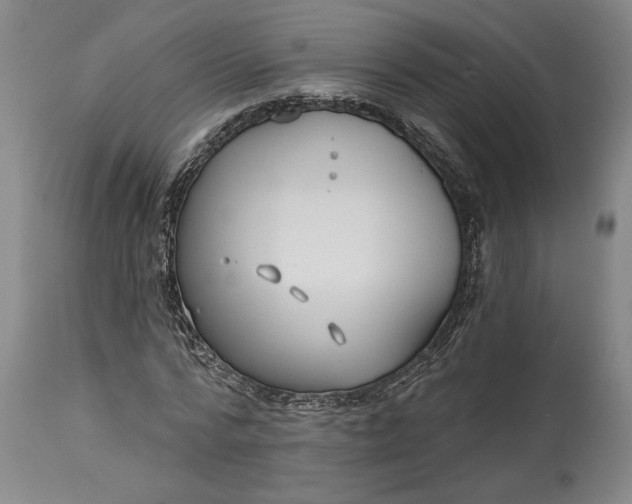 X0000114400776200911061537