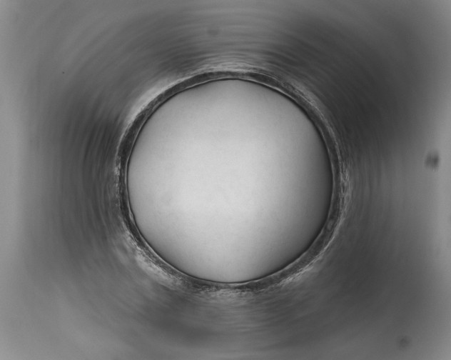 X0000114400779200911061537