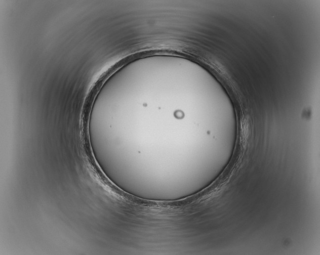 X0000114400780200911061537