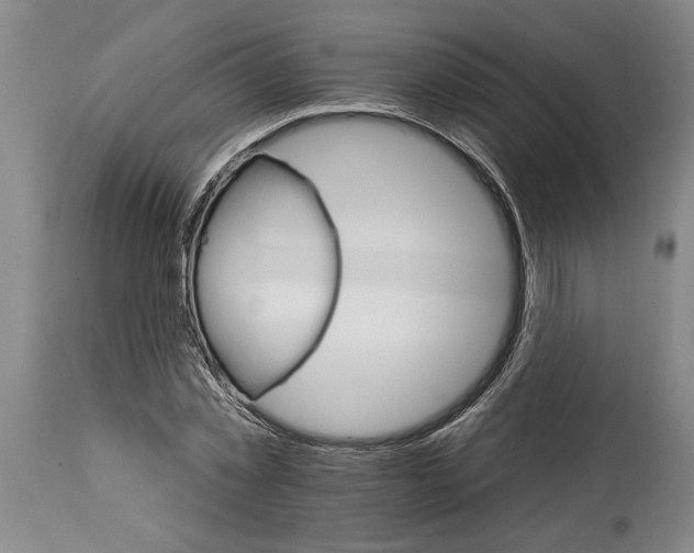 X0000114400781200911061537