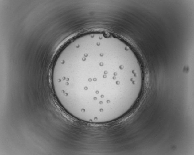 X0000114400782200911061536