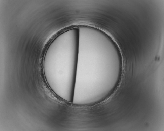 X0000114400783200911061536