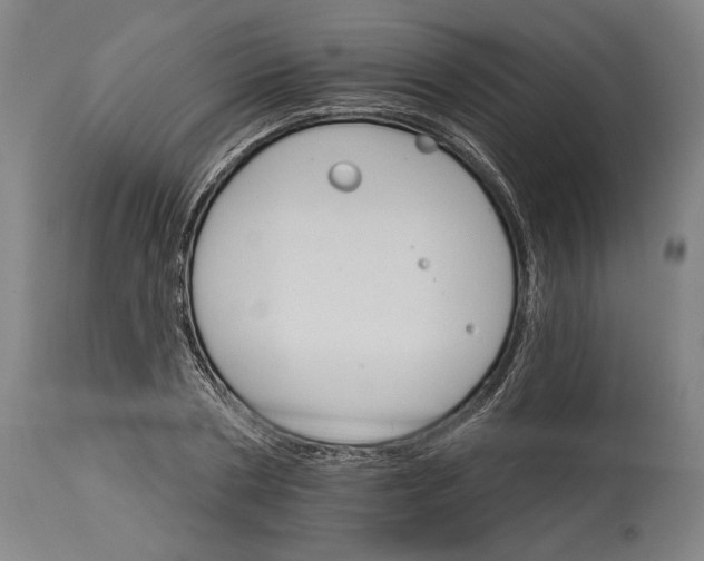 X0000114400786200911061536