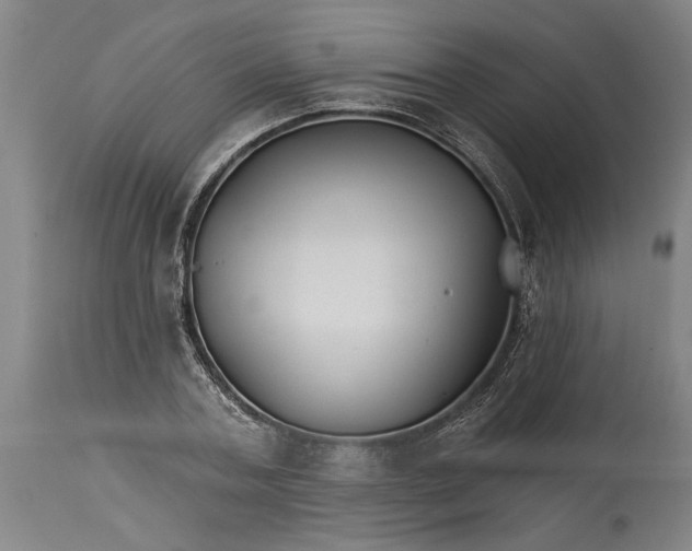 X0000114400787200911061536