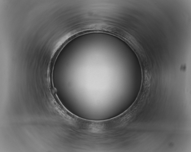 X0000114400788200911061536