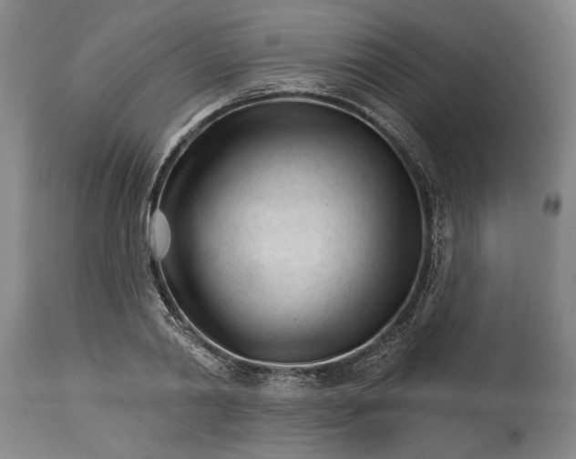 X0000114400790200911061536