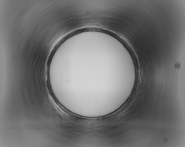 X0000114400791200911061536