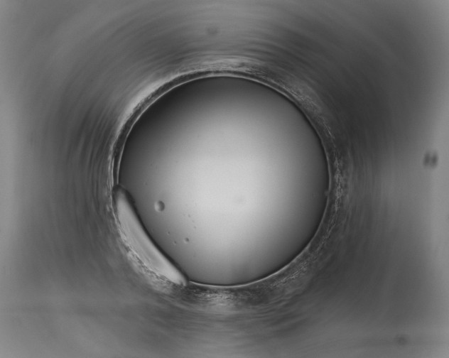 X0000114400792200911061536