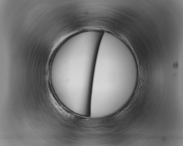 X0000114400795200911061536