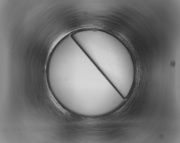 X0000114400796200911061536