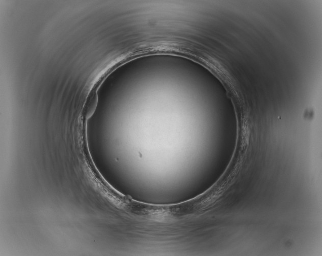 X0000114400798200911061536