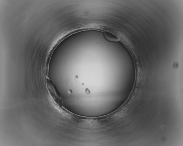 X0000114400800200911061536