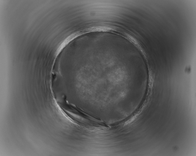 X0000114400802200911061536