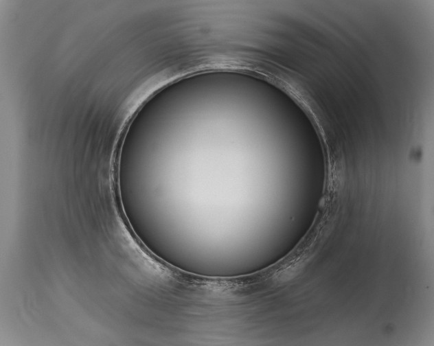 X0000114400803200911061536