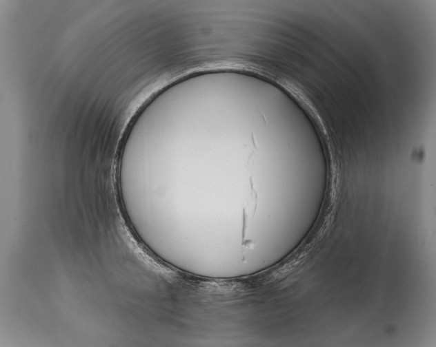 X0000114400805200911061536