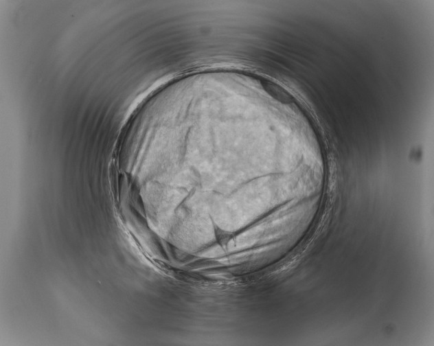 X0000114400806200911061536