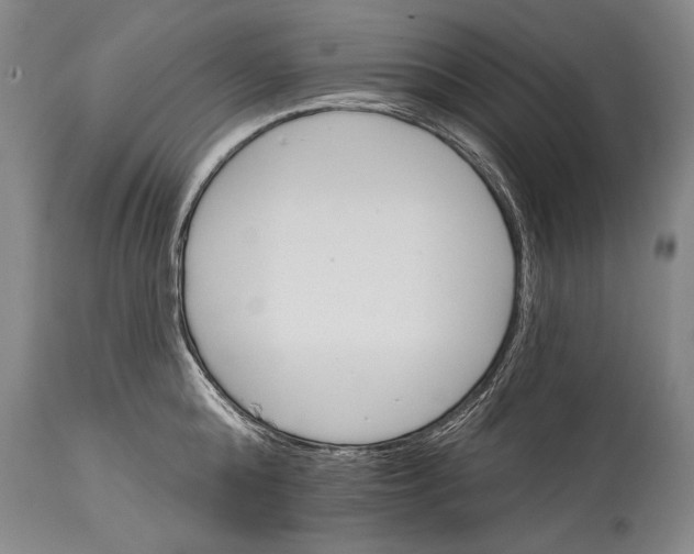 X0000114400808200911061536