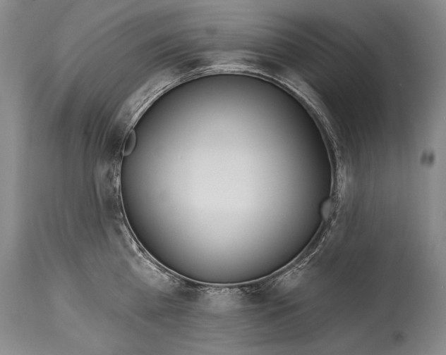 X0000114400809200911061536