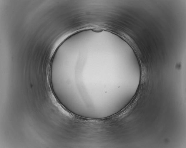 X0000114400812200911061536