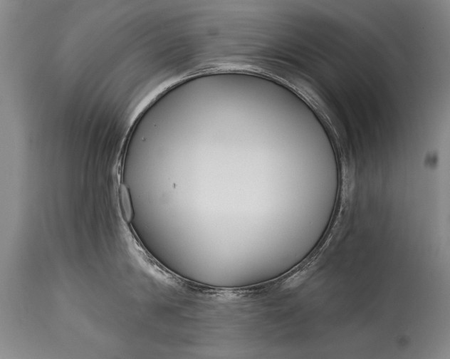 X0000114400814200911061536