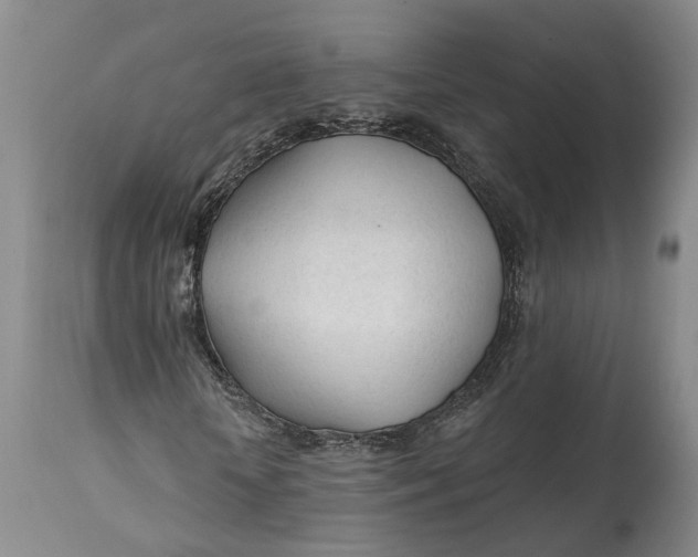 X0000114400818200911061535