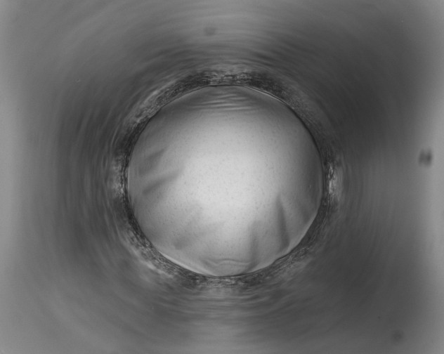 X0000114400819200911061535