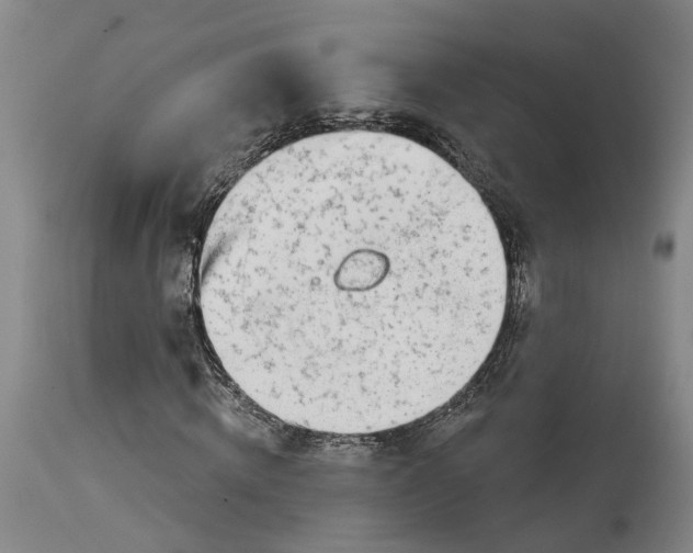 X0000114400820200911061535