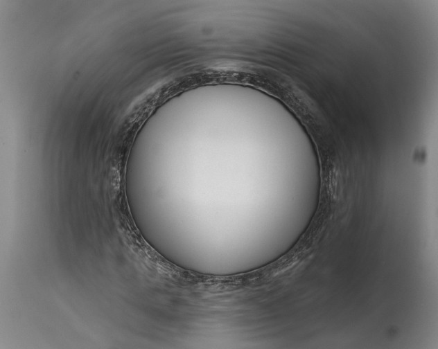 X0000114400821200911061535